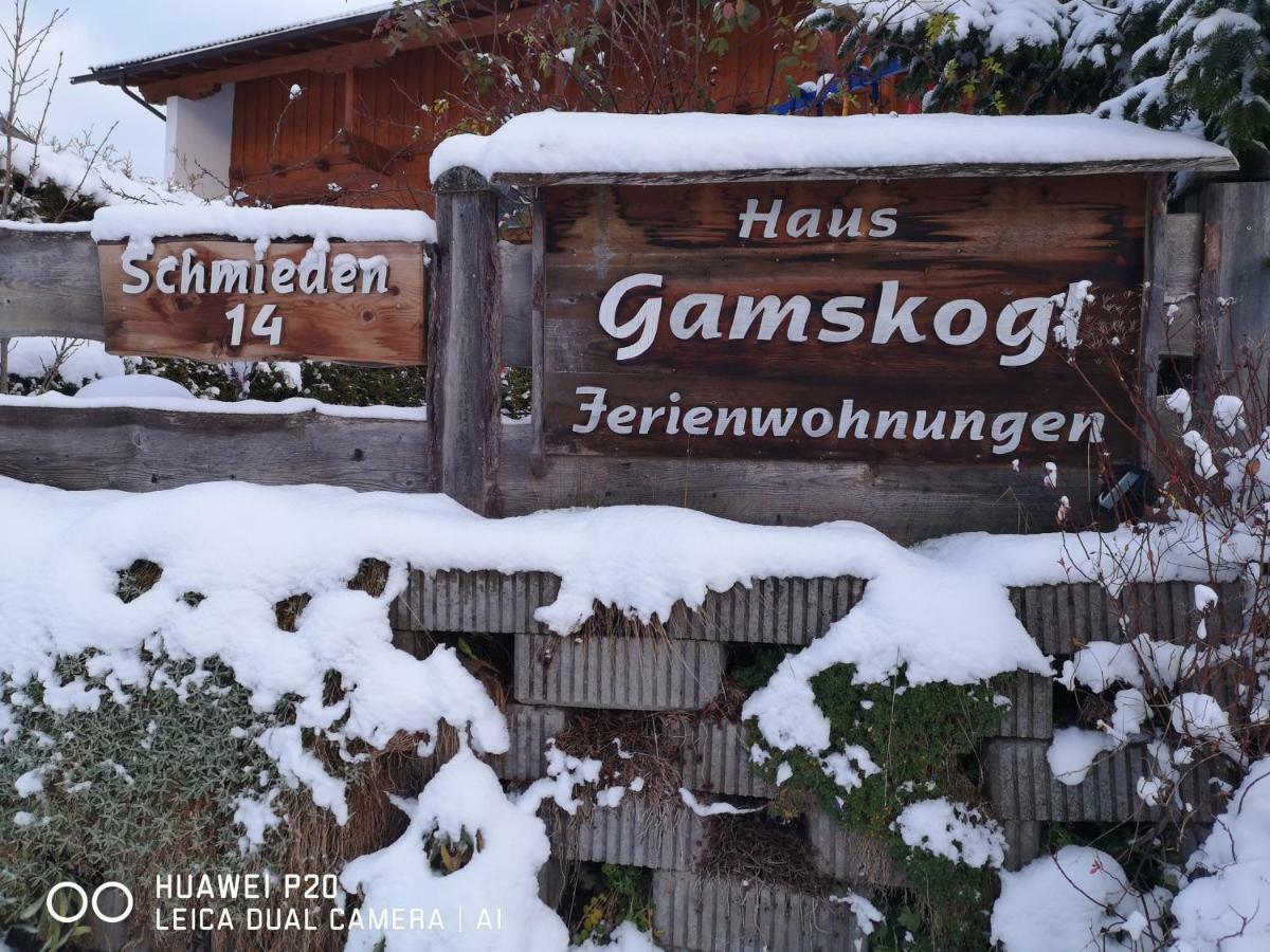 Haus Gamskogl Apartment Neustift im Stubaital Luaran gambar