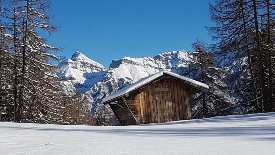 Haus Gamskogl Apartment Neustift im Stubaital Luaran gambar
