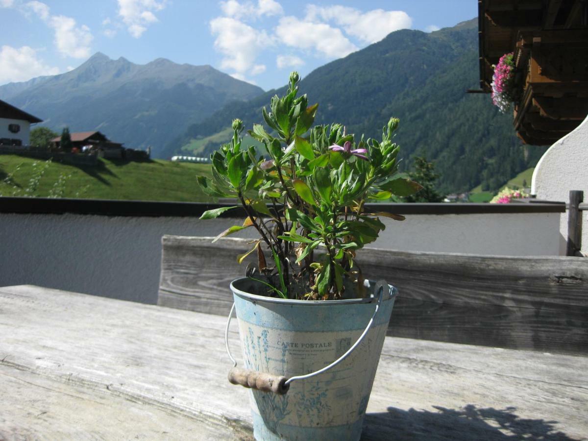 Haus Gamskogl Apartment Neustift im Stubaital Luaran gambar